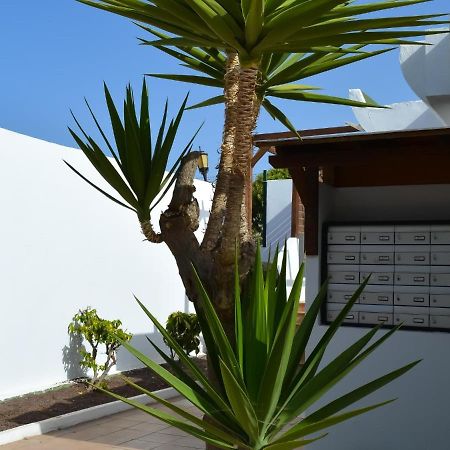 Dunasol 341 By Best Holidays Fuerteventura Коральео Экстерьер фото